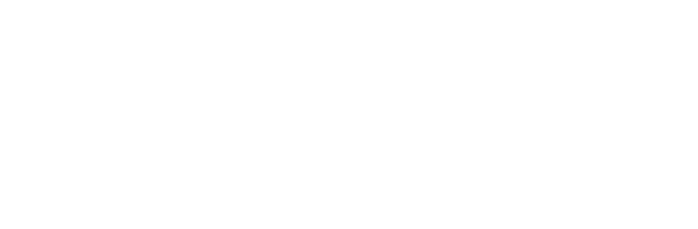 Logo Flip blanc